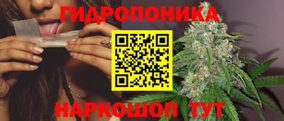 мдпв Дубна