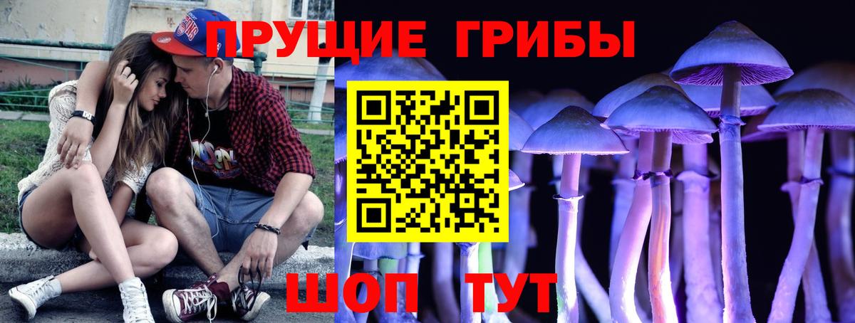 Галлюциногенные грибы Psilocybe  Ливны 