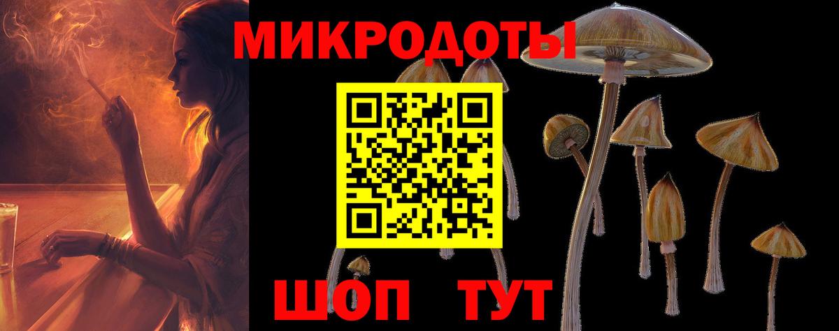 Галлюциногенные грибы MAGIC MUSHROOMS  Вход с VPN  Ливны 